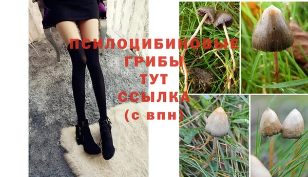 a pvp Пролетарск