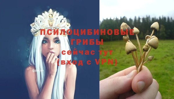 ECSTASY Бронницы