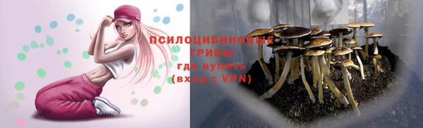 трава Бугульма