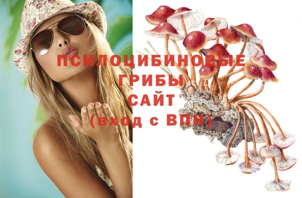 ECSTASY Бронницы