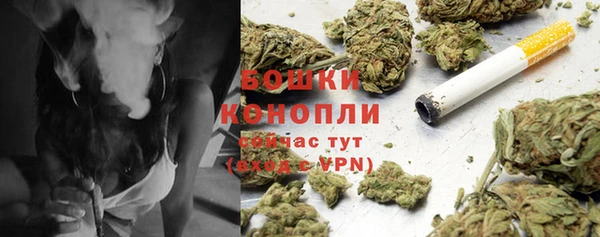 ECSTASY Бронницы