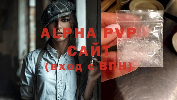 ECSTASY Бронницы