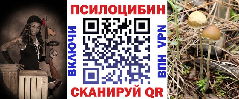 мега маркетплейс  Горячий Ключ  Псилоцибиновые грибы мухоморы  купить  